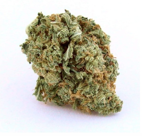 Blue Dream Marijuana, Blue Dream Weed, Buy Blue Dream Marijuana, Buy Blue Dream Marijuana Online, Buy Blue Dream Weed, Buy Blue Dream Weed India, Buy Blue Dream weed Online, Buy Blue Dream Weed UK, Buy Buy Blue Dream Weed In America, Buy Buy Blue Dream Weed In Australia, Buy Buy Blue Dream Weed In Austria, Buy Buy Blue Dream Weed In France, Buy Buy Blue Dream Weed In Germany, Buy Buy Blue Dream Weed In Hungary, Buy Buy Blue Dream Weed In Italy, Buy Buy Blue Dream Weed United Kingdom, Mail Order weed with Discreet Delivery Guarantee, MAIL ORDER MARIJUANA, mail order pot, mail order weed, mail order weed online, mail order weed usa, mail terra, mailing small amounts of weed, marijuana by state, marijuana chocolate, MARIJUANA CLONES FOR SALE, marijuana concentrate, marijuana dictionary, marijuana distillate, marijuana edibles for sale, marijuana edibles online, MARIJUANA FOR SALE, MARIJUANA FOR SALE ONLINE, marijuana online, marijuana online store, marijuana seed bank, Marijuana Strains, medical cannabis doctors, medical cannabis online, medical cannabis states, medical marijuana dispensary, medical marijuana online, medical marijuana online store,