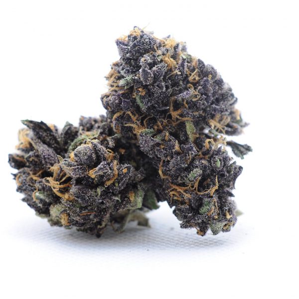 buy Grand Daddy Purple, Buy Grand Daddy Purple Kush Wax, Buy Grand Daddy Purple Kush Wax Bitcoin, Buy Grand Daddy Purple Kush Wax In Australia, Buy Grand Daddy Purple Kush Wax In Austria, Buy Grand Daddy Purple Kush Wax In Denmark, Buy Grand Daddy Purple Kush Wax In France, Buy Grand Daddy Purple Kush Wax In Germany, Buy Grand Daddy Purple Kush Wax In Hungary, Buy Grand Daddy Purple Kush Wax In Italy, Buy Grand Daddy Purple Kush Wax In Japan, Buy Grand Daddy Purple Kush Wax In United Kingdom, Buy Grand Daddy Purple Kush Wax In United States Of America, buy Grand Daddy Purple Kush Wax online, buy Grand Daddy Purple with Bitcoin, buy marijuana Germany, buy weed germany, germany weed shop, Grand Daddy Purple, Grand Daddy Purple Kush Wax, Grand Daddy Purple Kush Wax with Bitcoin, Buy Granddaddy Purple OG marijuana in Australia, Buy Granddaddy Purple OG marijuana in Austria, Buy Granddaddy Purple OG marijuana in France, Buy Granddaddy Purple OG marijuana in Germany, Buy Granddaddy Purple OG marijuana in Hungary, Buy Granddaddy Purple OG marijuana in United State, Buy Legit Granddaddy Purple OG marijuana in Switzerland, Buy Legit Granddaddy Purple OG marijuana in UK, Buy Legit Granddaddy Purple OG marijuana in USA, Buy Legit Granddaddy Purple OG marijuana online, Buy Legit Granddaddy Purple OG marijuana online in California, Buy Legit Granddaddy Purple OG marijuana online in Europe, Buy Legit Granddaddy Purple OG marijuana online in Greece, Buy Legit Granddaddy Purple OG marijuana United Kingdom, buy bud online, buy candy, buy candy online, buy cannabis, buy cannabis edibles online, buy cannabis online, buy cbd edibles online, BUY MARIJUANA ONLINE, buy marijuana online cheap, buy medical marijuana online, buy medical weed online, BUY REAL MARIJUANA ONLINE, BUY REAL WEED ONLINE, buy real weed online cheap, buy recreational weed online, buy salvia, buy shatter online, buy shatter online usa,