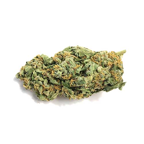 buy Jack Herer, buy Jack Herer marijuana, buy Jack Herer weed In Australia, buy Jack Herer weed In Austria, buy Jack Herer weed In France, buy Jack Herer weed In Hungary, buy Jack Herer weed In Italy, buy Jack Herer weed In Japan, buy Jack Herer weed In UK, buy Jack Herer weed online, buy Jack Herer weed USA, buy marijuana weed online, Jack Herer, JACK HERER EXPERIENCE, JACK HERER SEEDS, MMJ, mmj express, mmj online system, moonrock cannabis, moroccan hash, most potent afghani strains, mowie wowie weed, nova weed, nuken strain, nyc diesel, OG KUSH, og vape pen, online dispensary canada, ONLINE DISPENSARY EDIBLES, ONLINE DISPENSARY SHIPPING, online dispensary shipping usa, online ordering, online weed dispensary, online weed store, Order Afghan Kush, order cannabis, order cannabis online, order dabs online, order edibles, order edibles online, order edibles online review, order marijuana, order marijuana edibles online, order marijuana online, order real weed online, order thc edibles online, order weed, order weed edibles online, ORDER WEED ONLINE, phoenix tears for sale, phoenix tears oil for sale, phoenix tears reviews, phoenix tears thc, pineapple afghani effects, pink marijuana, pink starburst strain, pink starburst weed, purchase marijuana online, purchase weed online, purple shatter, red congolese, rx cannabis online sale, selling weed online, shipping edibles, shipping wax in the mail, snoop dogg moon rocks, snoops dream, snoops dream strain, starburst strain, stoner slang, sun rocks vs moon rocks, tara weeds, terra blueberries, terra cannabis, terra com mail, terra life, terra mail usa, thc candy, thc concentrate for sale, thc crystalline for sale, thc edibles for sale, thc edibles online, thc gum, thc gummies for sale, thc peanut butter, thc shipping, toronto dispensary no card, tuna kush, vancouver dispensary no card, vancouver weed shops, vape pen cartridge refill, vape refills, weed brownies for sale, weed candy, weed candy for sale, weed dispensary toronto, weed distillate, weed edibles, weed edibles delivery, weed edibles for sale, weed edibles for sale online, weed edibles online, weed flower, weed for sale, weed for sale online, WEED FOR SALE ONLINE 420 MAIL ORDER, weed for sale online cheap, weed gummies for sale, weed online, weed online cheap, weed pen, weed seeds, weed shop online, weed websites to buy from, what are phoenix tears, what are sun rocks, what is budder, where can i buy afghan kush, where can i buy edibles, where can i buy marijuana, where can i buy marijuana online, where can i buy weed online, where can i get weed online, where did the term 420 come from, where to buy cannabis, where to buy dabs online, where to buy edibles, where to buy edibles online, where to buy marijuana online, where to buy shatter wax online, where to buy weed online, where to get edibles, where to get weed online, where to order weed online, white castle strain, your cannabis orders