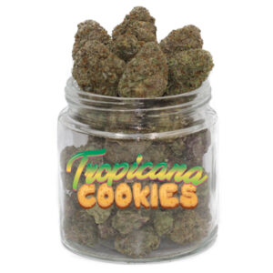 Buy Tropicana Cookies Weed Strain online Without Script, Buy Marijuana online, best cannabis strain, Tropicana cookies for sale online, Buy Cheap Afghan Kush, buy chocolates online, buy concentrates online, buy edibles, buy edibles online, BUY EDIBLES ONLINE REDDIT, buy edibles online ship anywhere, buy edibles online usa, buy edibles online without medical card, buy hash, buy hash online, buy illegal weed online, BUY LEGAL WEED ONLINE, buy marijuana, buy marijuana edibles, buy marijuana edibles online, BUY MARIJUANA ONLINE, buy marijuana online cheap, buy medical marijuana online, buy medical weed online, BUY REAL MARIJUANA ONLINE, BUY REAL WEED ONLINE, buy real weed online cheap, buy recreational weed online, buy salvia, buy shatter online, buy shatter online usa, BUY SKUNK ONLINE UK, BUY SYNTHETIC WEED ONLINE, buy terpenes online, buy thc cartridges online, buy thc edibles online, buy thc edibles online ship anywhere, buy thc gummies online, buy thc online, BUY VAPE PEN ONLINE, buy weed, buy weed canada, buy weed edibles online, BUY WEED ONLINE, buy weed online canada, buy weed online cheap, buy weed online usa, buy weed online without medical card, buying marijuana, BUYING WEED ONLINE, buying weed online reviews, buying weed online safe, california weed shops online, can i buy edibles online, can i buy marijuana online, can i buy weed online, can i order weed online, can u buy weed online, can you buy edibles online, can you buy marijuana online, Can you buy medical marijuana online, CAN YOU BUY WEED ONLINE, can you order edibles online, can you order marijuana online, can you order weed online, can you send weed in the mail, canada dispensary, candy online, cannabis buy, cannabis candy, cannabis chocolate, cannabis chocolate bar, cannabis com, cannabis distillate, cannabis edibles for sale, cannabis edibles online, cannabis online, cannabis online dispensary, cannabis online dispensary review, cbd distillate for sale, cbd shatter for sale, cheap edibles, cheap weed online, cherry vape, chocolates online, death bubba strain, DEATH STAR EDIBLE, DEATH STAR SEEDS, DEATH STAR STRAIN, DEATH STAR STRAIN SEEDS, DEATH STAR STRAIN YIELD, DEATH STAR WEED STRAIN, diamond shatter, discreet shipping, DISPENSARIES THAT SHIP OUT OF STATE, dispensaries that ship to texas, distillate weed, edible candy, edible cannabis candy, edible weed candy, edible weed treats, edibles delivery, edibles for sale, edibles online, edibles online no medical card, edibles online ship anywhere, edibles online weed, email terra, farm to vape kit, frank kush, free vape pen, free weed, get free weed online, get weed online, GIRL SCOUT COOKIES, glass blunt for sale, gorilla glue vape, gorilla vape pen, GREEN CRACK, green crack shatter, grow weed easy, hardcore og, hash online, high octane strain, high times, hindu tahoe strain, how 2 buy weed, how to buy edibles, how to buy edibles online, how to buy marijuana online, how to buy weed online, how to get free weed online, how to get weed online, how to grow weed, how to load a glass blunt, how to order edibles online, how to order marijuana online, how to order weed online, how to refill a vape pen, how to refill vape pen, how to ship edibles, how to ship marijuana, how to ship weed, indica flower, Indica Weed Strains, IS IT LEGAL TO BUY EDIBLES ONLINE, is weed legal in canada, john deere 420 for sale craigslist, KHALIFA KUSH, king kush, king kush strain, KUSH FOR SALE, larry og kush, larry og strain, LEGAL BUDS, legal weed, Legit Afghan Kush Online, lemon larry og, louis 13 weed, mail order, mail order cannabis, mail order dabs, mail order edibles, MAIL ORDER MARIJUANA, mail order pot, mail order weed, mail order weed online, mail order weed usa, mail terra, mailing small amounts of weed, marijuana by state, marijuana chocolate, MARIJUANA CLONES FOR SALE, marijuana concentrate, marijuana dictionary, marijuana distillate, marijuana edibles for sale, marijuana edibles online, MARIJUANA FOR SALE, MARIJUANA FOR SALE ONLINE, marijuana online, marijuana online store, marijuana seed bank, Marijuana Strains, medical cannabis doctors, medical cannabis online, medical cannabis states, medical marijuana dispensary, medical marijuana online, medical marijuana online store, medical marijuana states, MMJ, mmj express, mmj online system, moonrock cannabis, moroccan hash, most potent afghani strains, mowie wowie weed, nova weed, nuken strain, nyc diesel, OG KUSH, og vape pen, online dispensary canada, ONLINE DISPENSARY EDIBLES, ONLINE DISPENSARY SHIPPING, online dispensary shipping usa, online ordering, online weed dispensary, online weed store, Order Afghan Kush, order cannabis, order cannabis online, order dabs online, order edibles, order edibles online, order edibles online review, order marijuana, order marijuana edibles online, order marijuana online, order real weed online, order thc edibles online, order weed, order weed edibles online, ORDER WEED ONLINE, phoenix tears for sale, phoenix tears oil for sale, phoenix tears reviews, phoenix tears thc, pineapple afghani effects, pink marijuana, pink starburst strain, pink starburst weed, purchase marijuana online, purchase weed online, purple shatter, red congolese, rx cannabis online sale, selling weed online, shipping edibles, shipping wax in the mail, snoop dogg moon rocks, snoops dream, snoops dream strain, starburst strain, stoner slang, sun rocks vs moon rocks, tara weeds, terra blueberries, terra cannabis, terra com mail, terra life, terra mail usa, thc candy, thc concentrate for sale, thc crystalline for sale, thc edibles for sale, thc edibles online, thc gum, thc gummies for sale, thc peanut butter, thc shipping, toronto dispensary no card, tuna kush, vancouver dispensary no card, vancouver weed shops, vape pen cartridge refill, vape refills, weed brownies for sale, weed candy, weed candy for sale, weed dispensary toronto, weed distillate, weed edibles, weed edibles delivery, weed edibles for sale, weed edibles for sale online, weed edibles online, weed flower, weed for sale, weed for sale online, WEED FOR SALE ONLINE 420 MAIL ORDER, weed for sale online cheap, weed gummies for sale, weed online, weed online cheap, weed pen, weed seeds, weed shop online, weed websites to buy from, what are phoenix tears, what are sun rocks, what is budder, where can i buy afghan kush, where can i buy edibles, where can i buy marijuana, where can i buy marijuana online, where can i buy weed online, where can i get weed online, where did the term 420 come from, where to buy cannabis, where to buy dabs online, where to buy edibles, where to buy edibles online, where to buy marijuana online, where to buy shatter wax online, where to buy weed online, where to get edibles, where to get weed online, where to order weed online, white castle strain, your cannabis orders, https://www.portentis.com