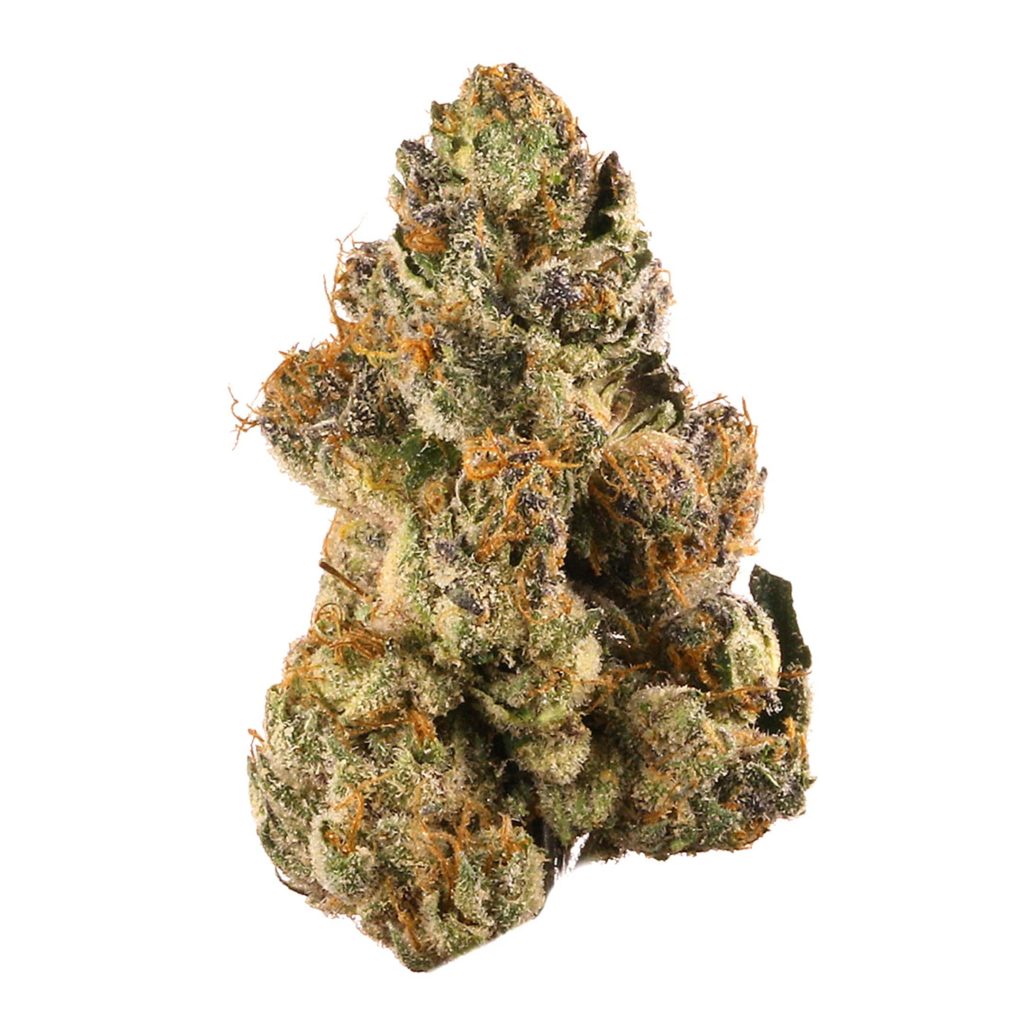 Buy Gelato Marijuana Strain online, buy Gelato marijuana, buy Gelato marijuana In Austria, buy Gelato marijuana In France, buy Gelato marijuana In Germany, buy Gelato marijuana In Hungary, buy Gelato marijuana In Italy, Buy Gelato Marijuana Online, buy Gelato online, BUY MARIJUANA ONLINE, Buy Marijuana Online Australia, Buy Marijuana Online Europe, Buy marijuana online in usa, Buy Marijuana Online USA, Buy Medical Marijuana Online, Buy Moonrock Online UK, buy moonrocks online, Buy weed online, Buy weed online Discreetly, Buy Weed Online Europe, Gelato Marijuana Strain for sale online, Gelato buds for sale, where to buy Gelato weed strains online, Gelato weed strain, Gelato cannabis strains for sale, buy buds for sale online,Weed for sale online, 420 mail order, Gelato to smoke online, https://www.portentis.com/